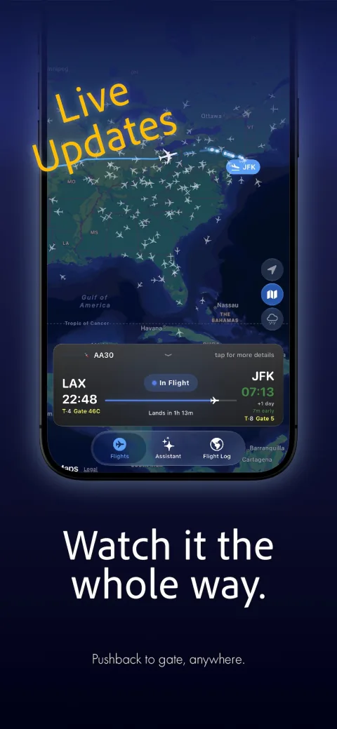 Live flight updates